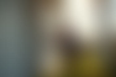 Certified Pest Specialists for Your Needs