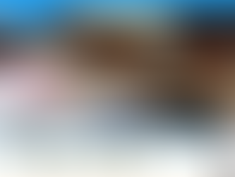 【勉強記録】統計の勉強（2/15）｜シオミさん