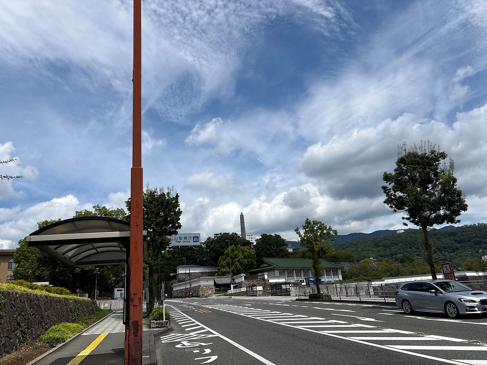 甲府城跡にある山梨県庁と甲州の山々を見て観光するくらいには余裕がありました