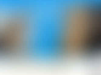 【勉強記録】CCNAの勉強(9/27)|おくいさん
