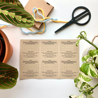 EmmaChristophersonPackaging