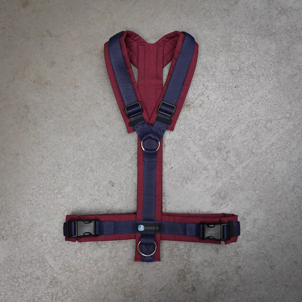 AnnyX Sonderfarbe bordeaux/wunschblau