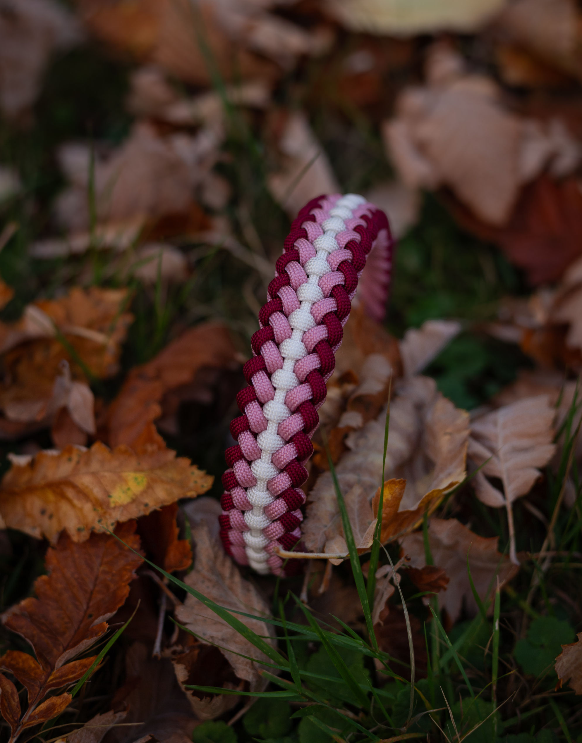 Halsband aus Paracord in weinrot lavernder rosa und weiß im Herbstlaub