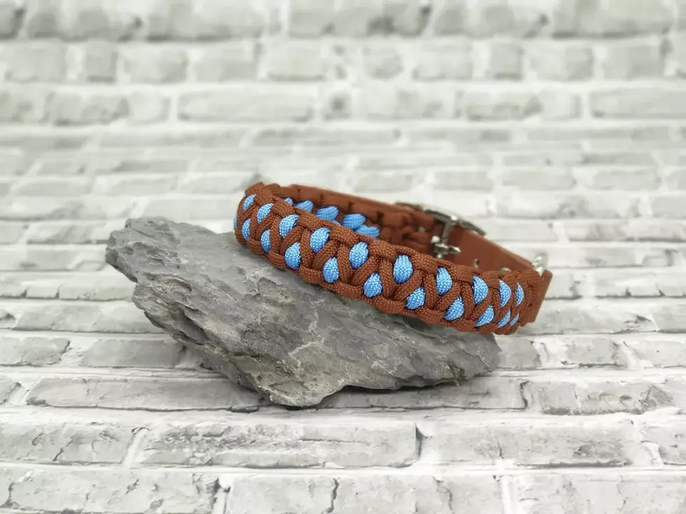 Miniaturbild: Paracord Halsband Dragon