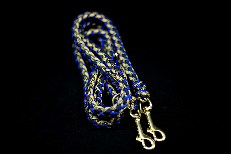 Paracordleine Gaucho