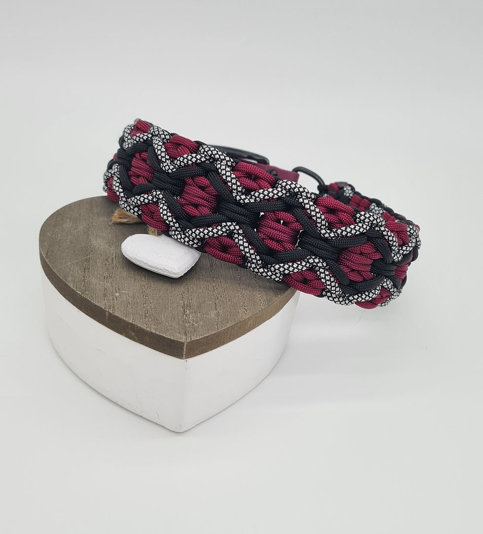 Miniaturbild: Paracord Hundehalsband