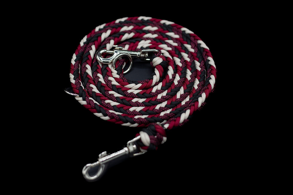 Paracordleine black and red