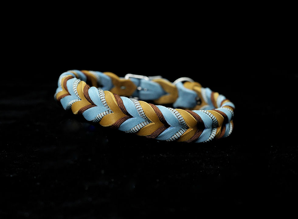 Fettleder Halsband mit Paracord