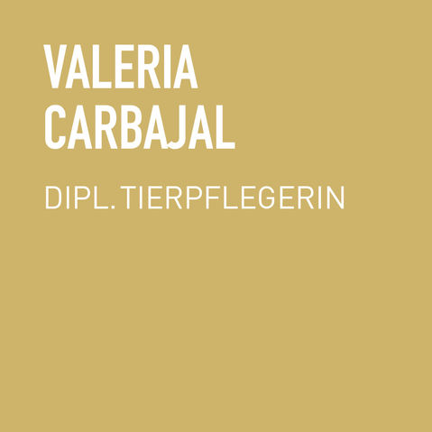 Carbajal_tx.jpg