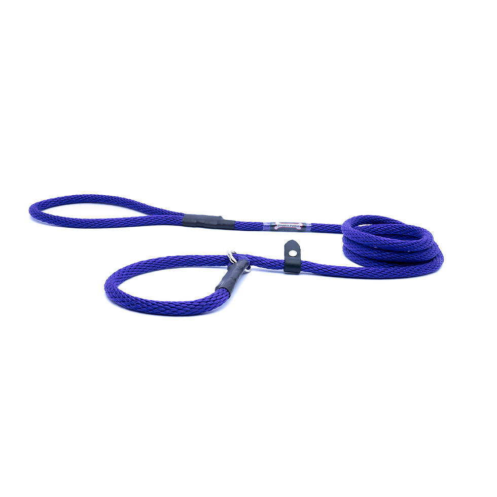 Thumbnail: Rope Slip lead with Safety