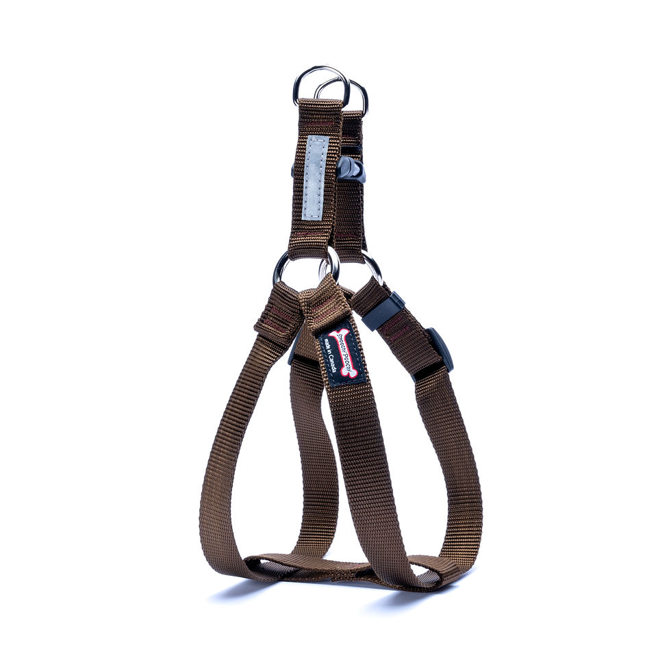 Thumbnail: step in dog harness brown