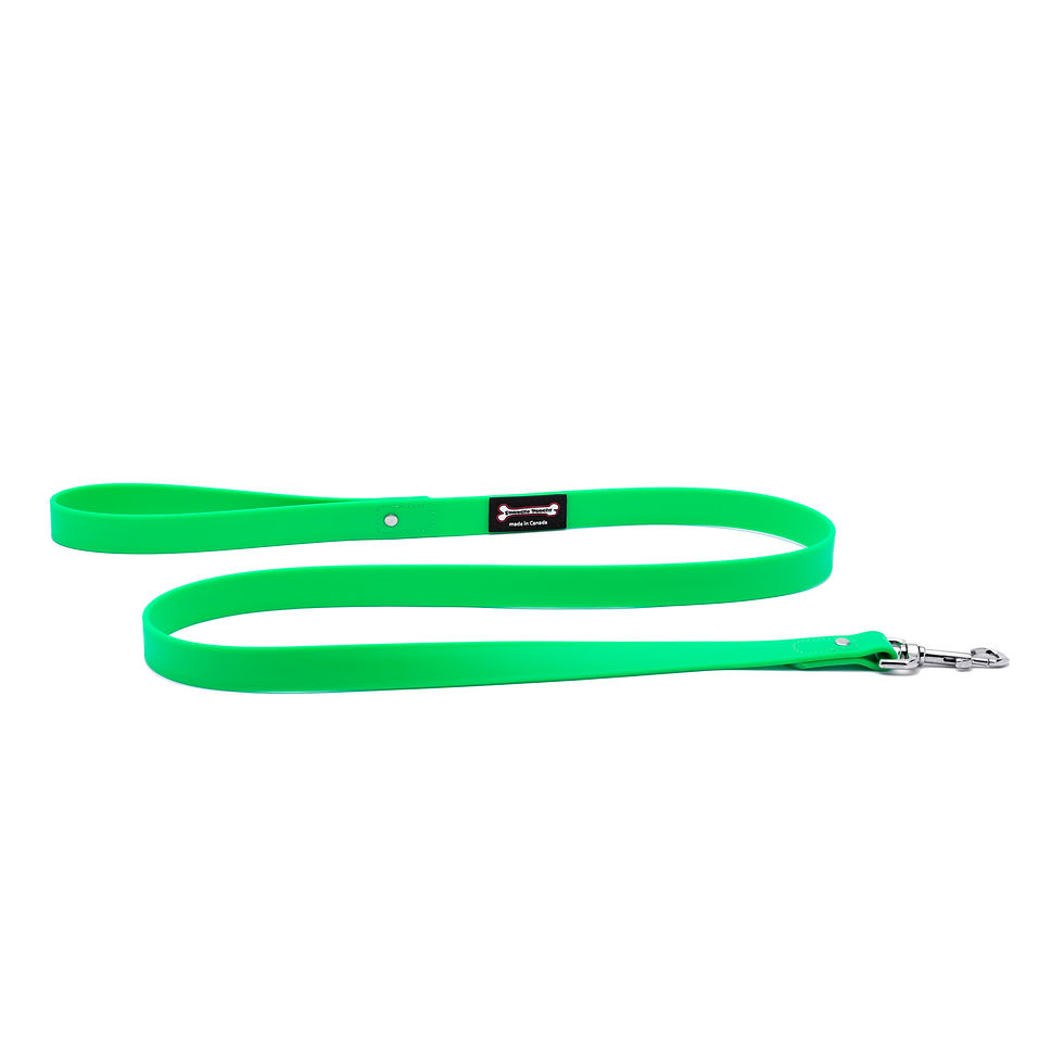 Thumbnail: Polyvinyl/BioThane Regular Style Leash