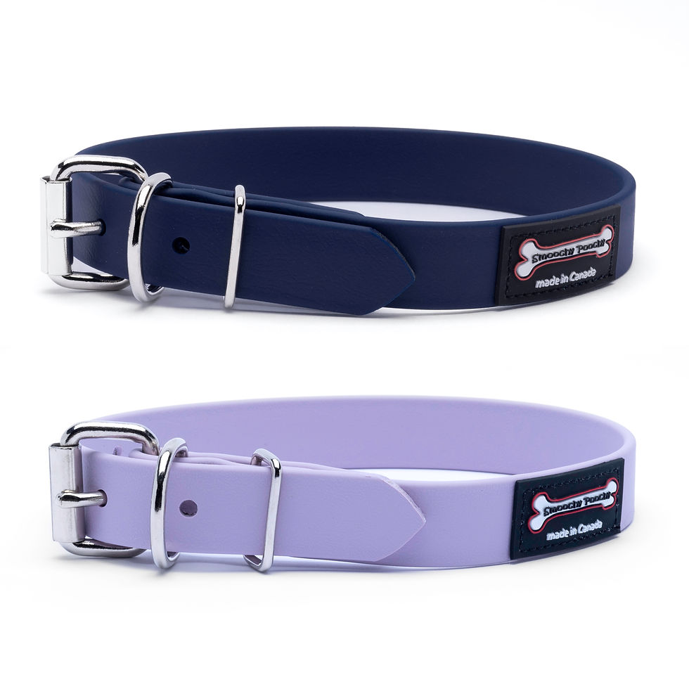 Thumbnail: Dog Collar
