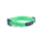 Thumbnail: nylon collar