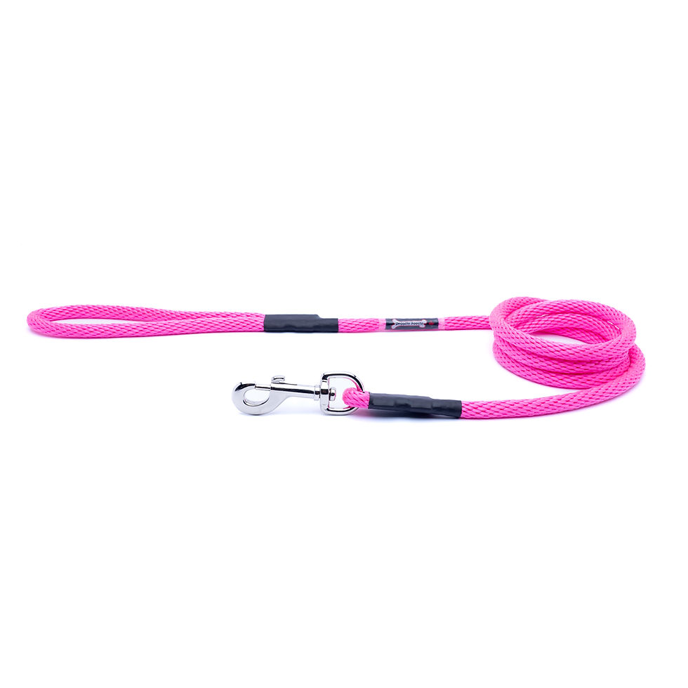Thumbnail: Rope Lead