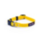 Thumbnail: Polyvinyl/BioThane Quick Release Collar Small