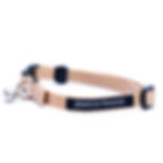 cat collar camel