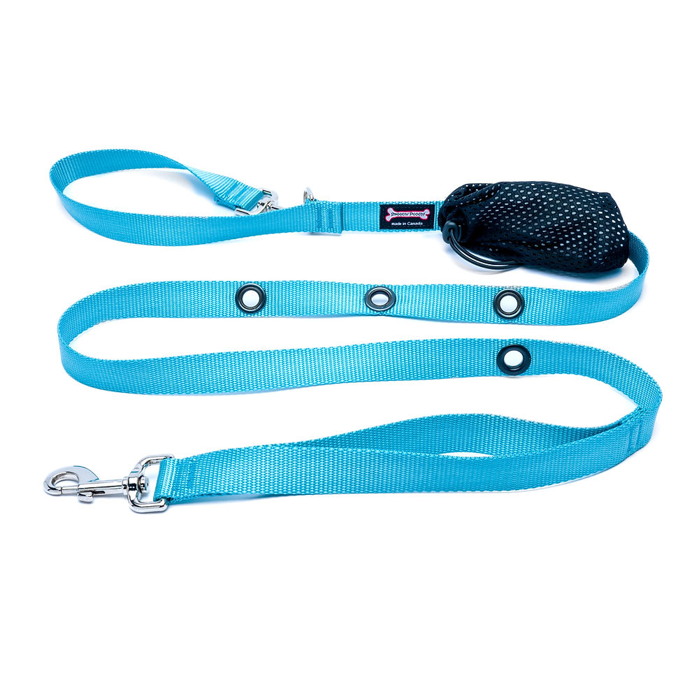 Thumbnail: Nylon Hands Free Leash 1" Wide