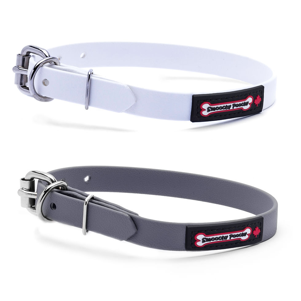 Thumbnail: Polyvinyl/BioThane Buckle Style Collar 5/8" Wide
