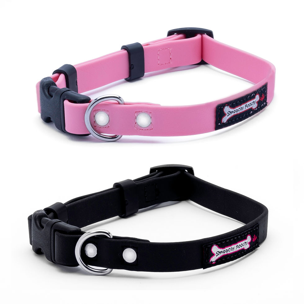 Thumbnail: Polyvinyl/BioThane Quick Release Collar Small