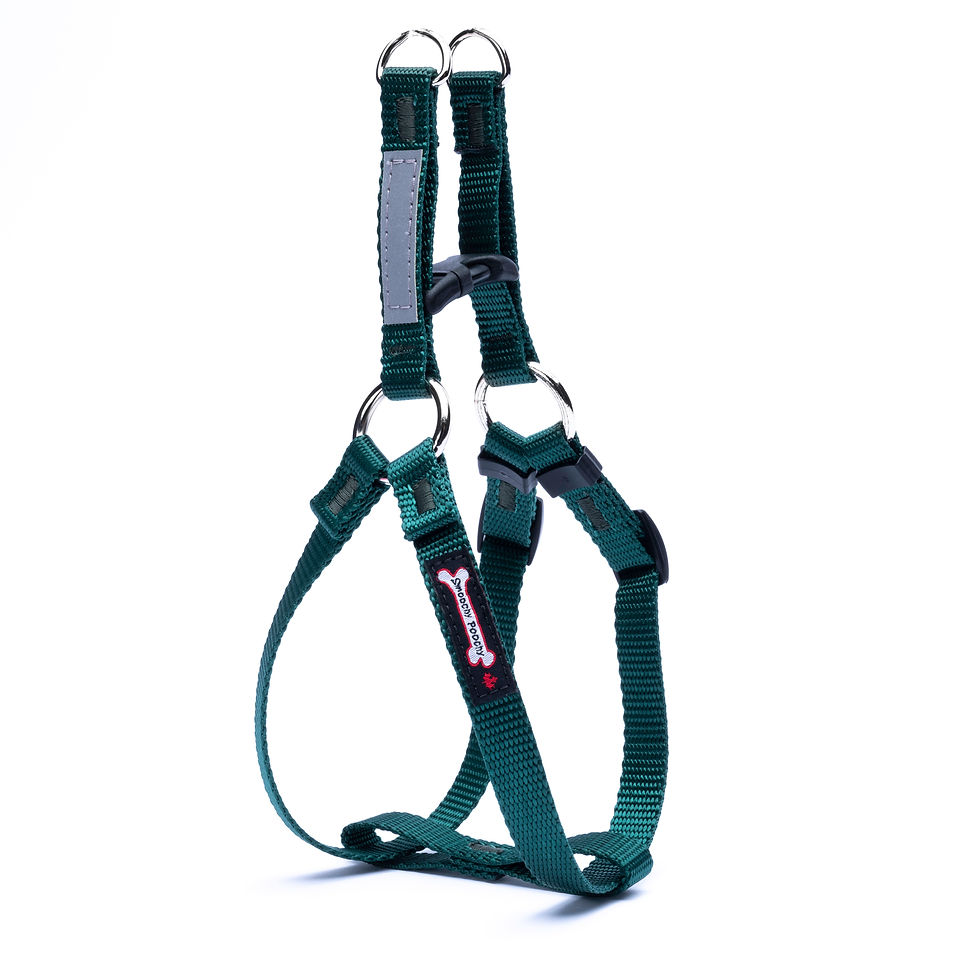 Thumbnail: Step In Harness 5/8" Wide