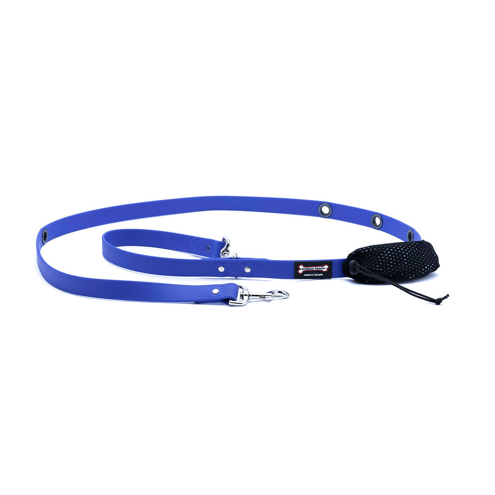 Thumbnail: hands free leash ocean