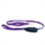 Thumbnail: Hands free leash