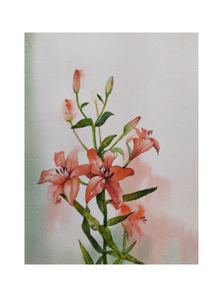 118886004_2769648730021365_3859783645919