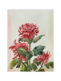 159499577_2932526007066969_3124968615669