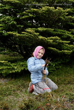 Ushuaïa - Parc Nat. Tierra del Fuego