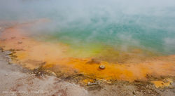 Wai O Tapu