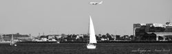 Boston