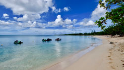 Gwada - plage du Souffleur