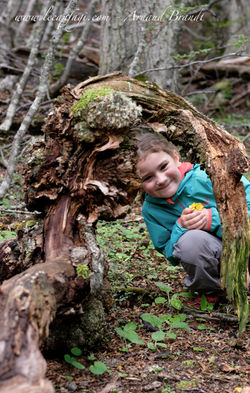 Ushuaïa - Parc Nat. Tierra del Fuego