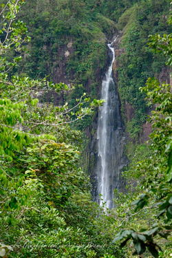 Gwada - Chutes du Carbet