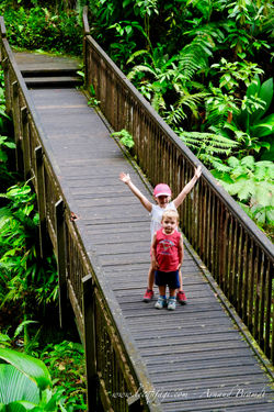 Gwada - Chutes du Carbet