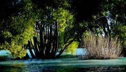 Lake Tekapo