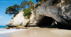 Coromandel - Cathedral Cove