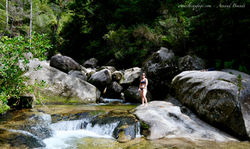 Abel Tasman National Park