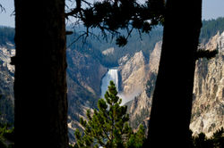 Grand Canyon of Yellowstone