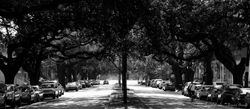 New Orleans