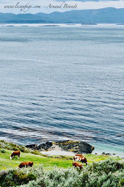 Ushuaïa - playa larga