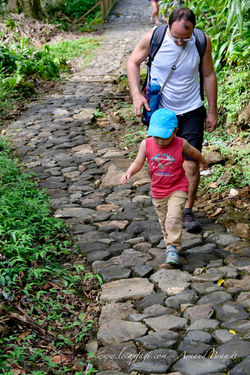 Gwada - la Soufrière