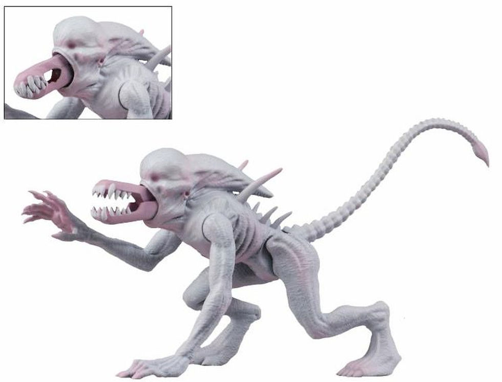 サムネイル： NECA Alien & Predator Classics - 6" Scale Action Figure Series 1 Set of 2
