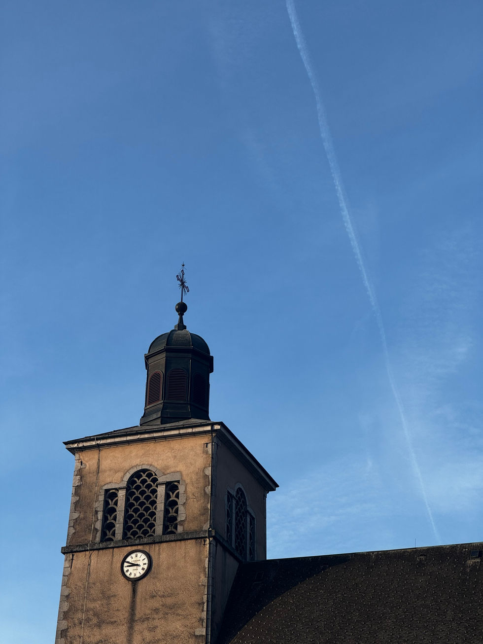 IMG_5937