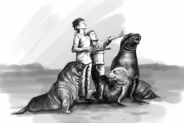 Seal story concept.jpg
