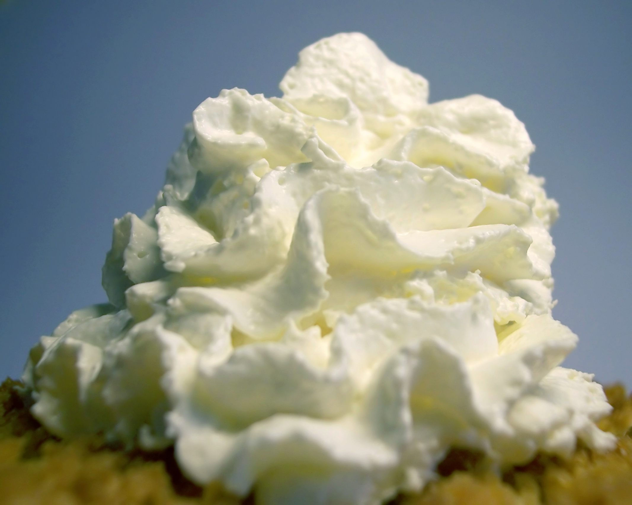 whipped cream