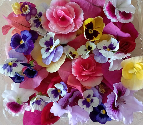 floers pansy.jpg