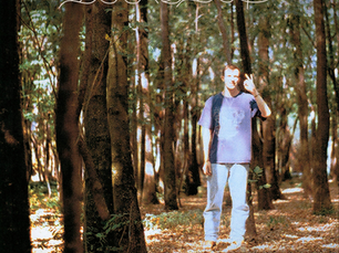 Baird album cover "BIRDSONGS VOL. 2"