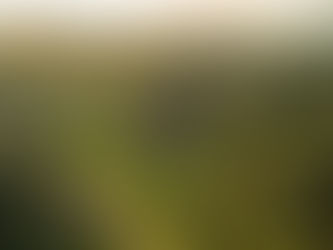 สู่แผ่นดินพระร่วงเจ้า (๑)